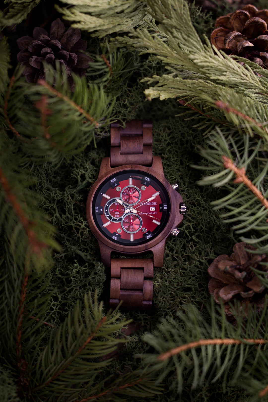 Edinburgh wooden chronograph watch with a red dial among pine branches and pine cones - The Wood Look