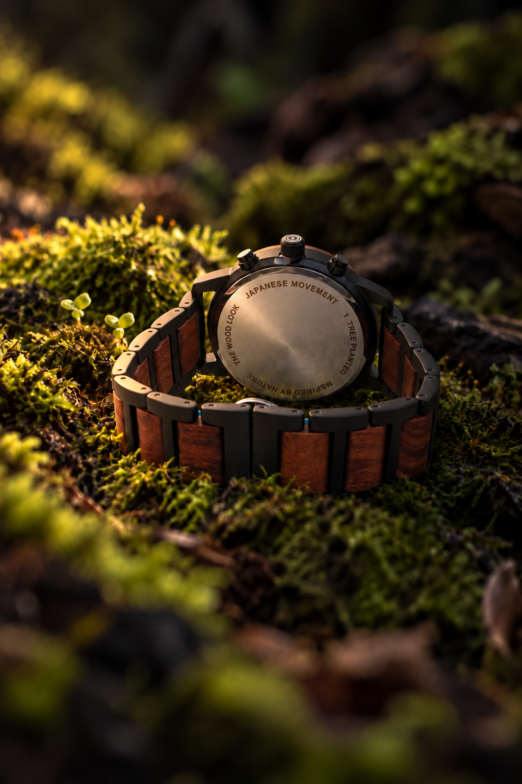 Back of the London red sandalwood watch showing the steel caseback and wooden links, resting on moss
