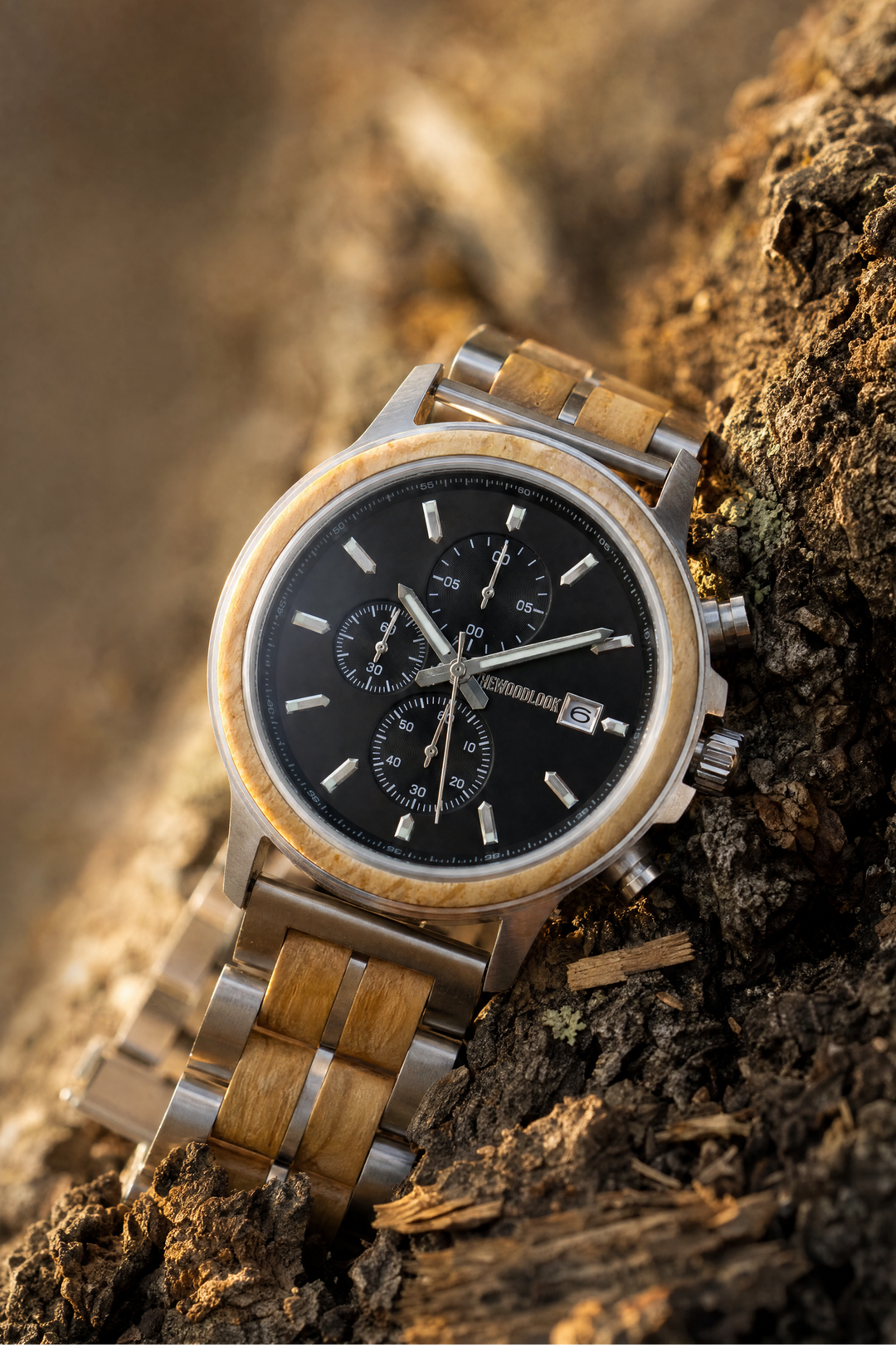 Oslo oak and steel chronograph wooden watch with a black dial, resting on tree bark in evening sun - The Wood Look