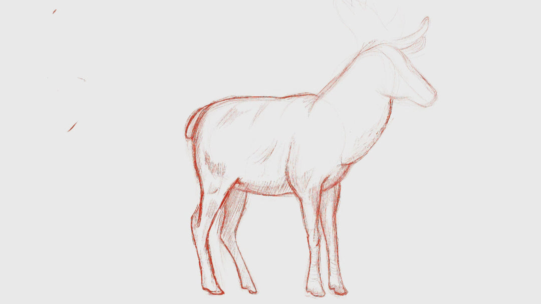 Stag & Doe Cake Topper