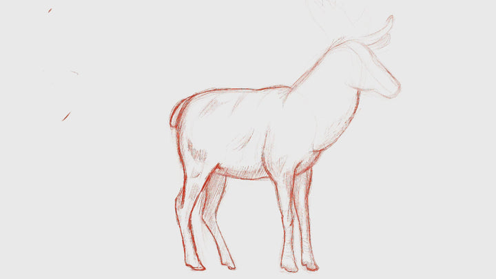 Stag & Doe Cake Topper