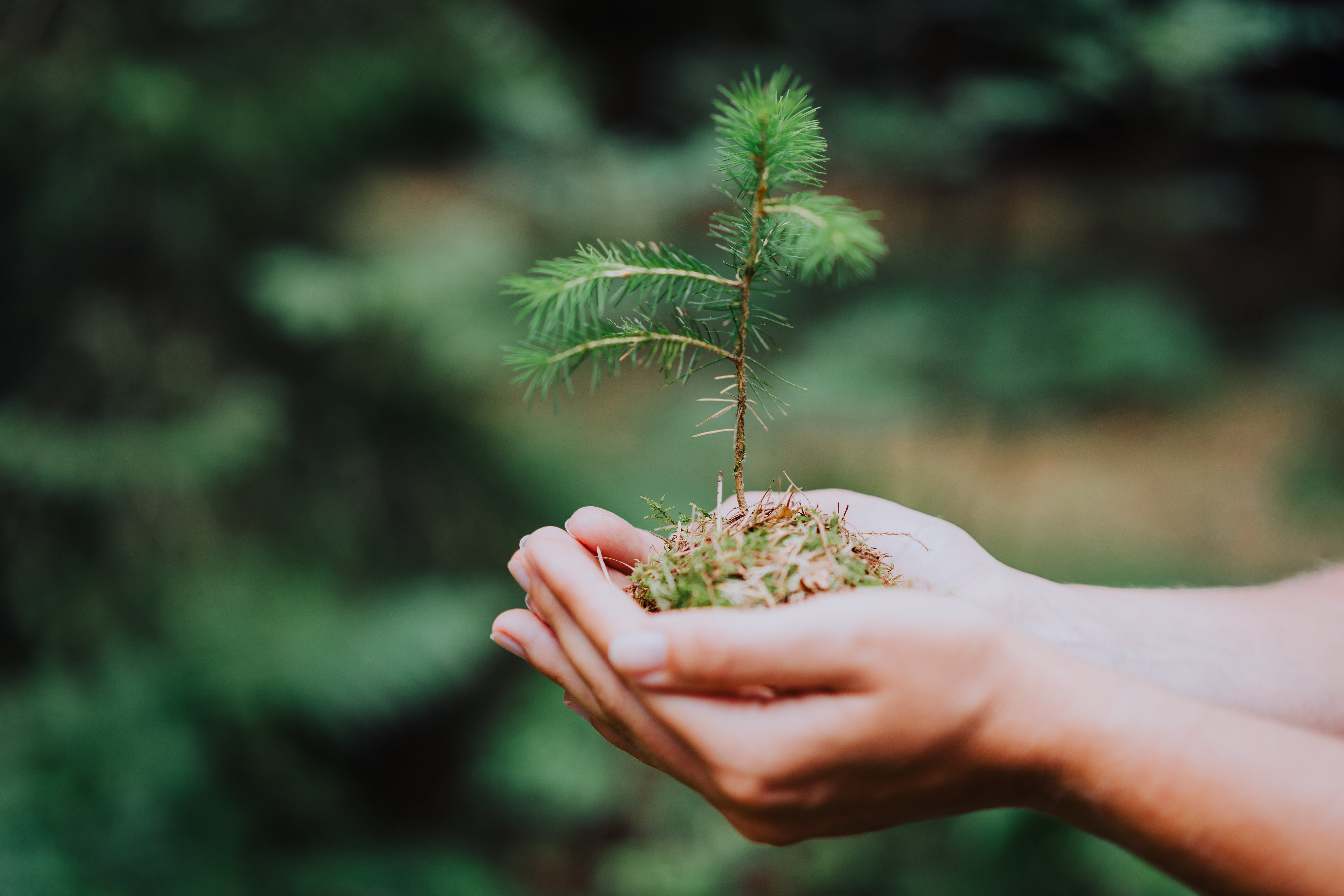 shutterstock_1161260605.jpg__PID:58290105-d95c-41d4-809b-27e28261738b